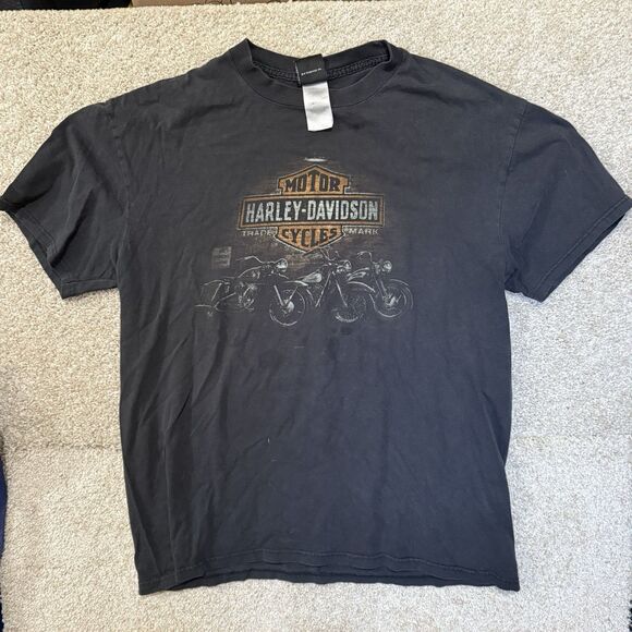 Harley-Davidson Other - Vintage Harley Davidson Tshirt Northern Lights‎ Arbor Vitae, WI Size Xl